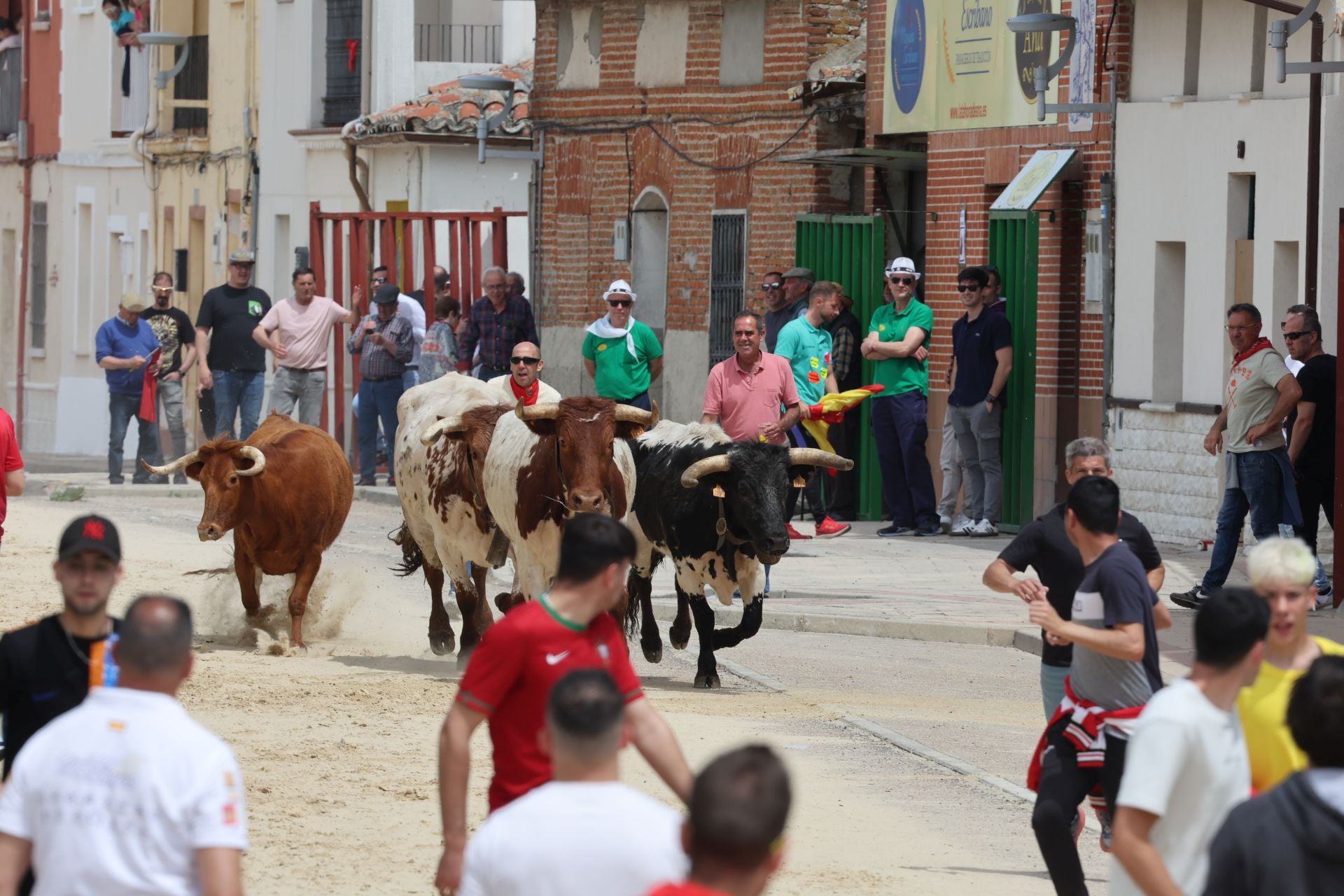 Encierro del domingo por la mañana en Valdestillas