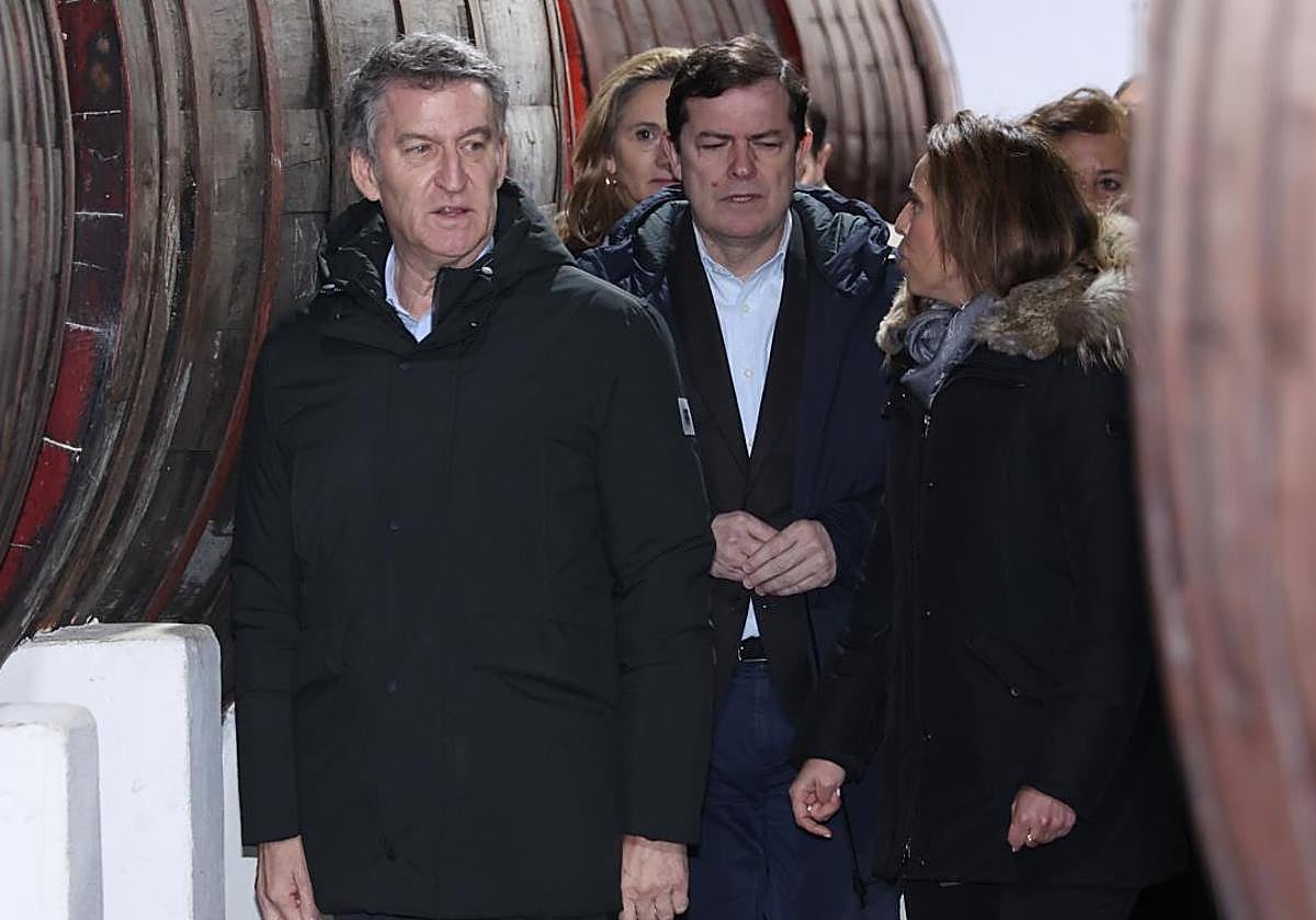 El presidente del Partido Popular, Alberto Núñez Feijóo, y el presidente de la Junta de Castilla y León y del PP regional, Alfonso Fernández Mañueco, visitan la bodega Hijos de Alberto Gutiérrez en el mes de marzo.