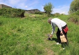 Una mujer coloca un ramo de flores en el lugar en el que falleció la vecina de Ceguilla tras ser atacada por una vaca.