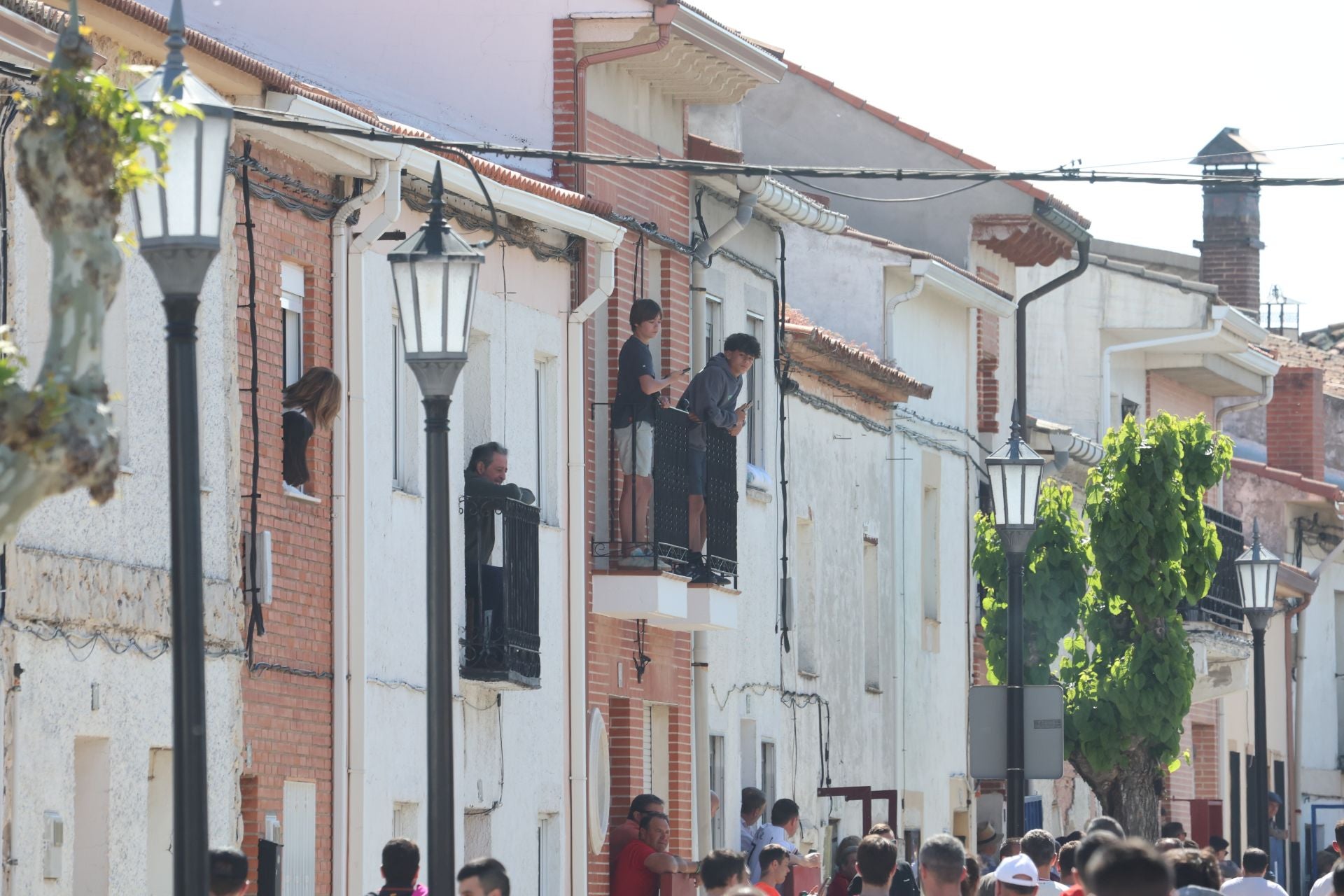 Encierro matutino del domingo en Aldeamayor de San Martín
