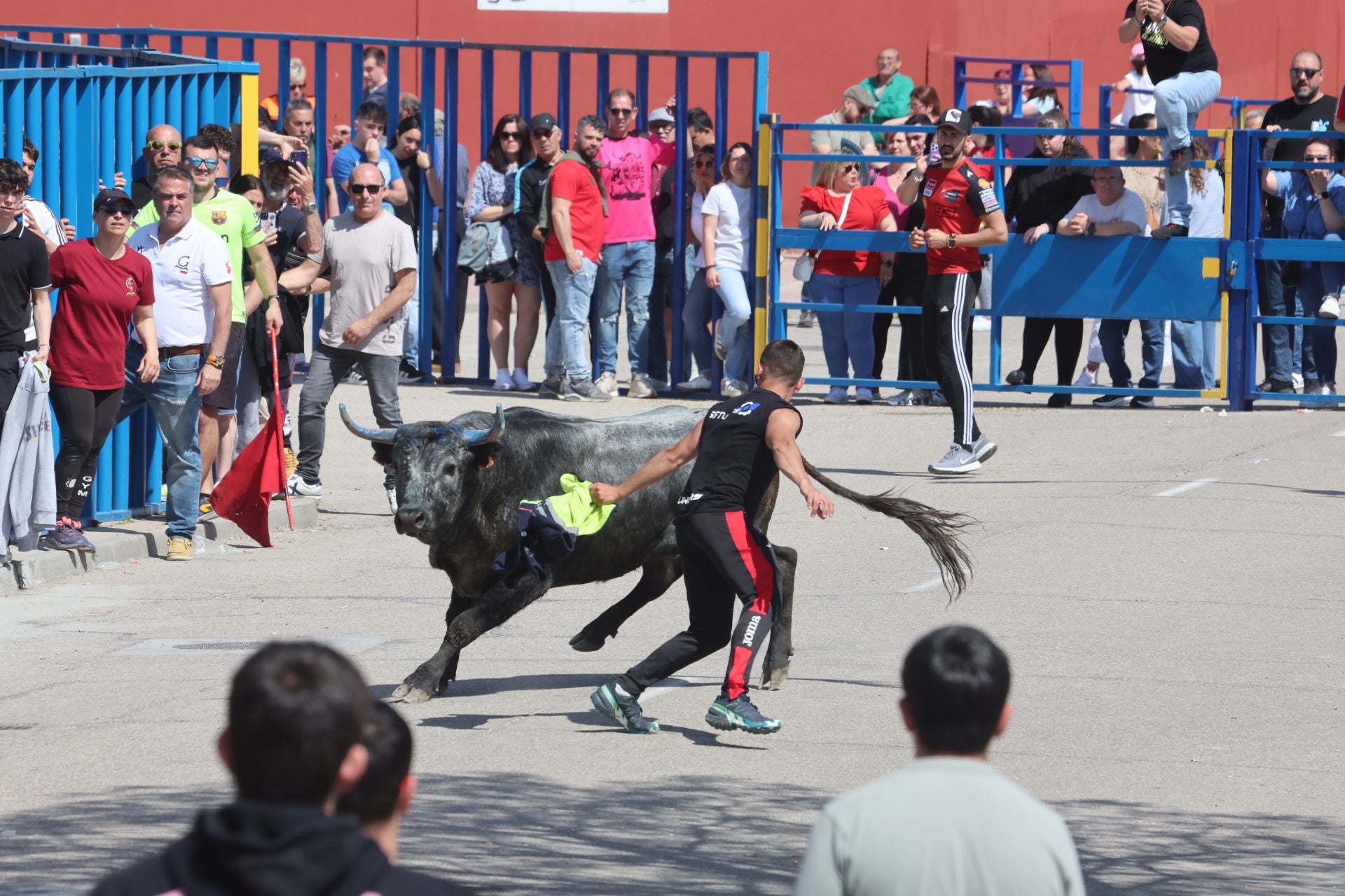 Encierro matutino del domingo en Aldeamayor de San Martín