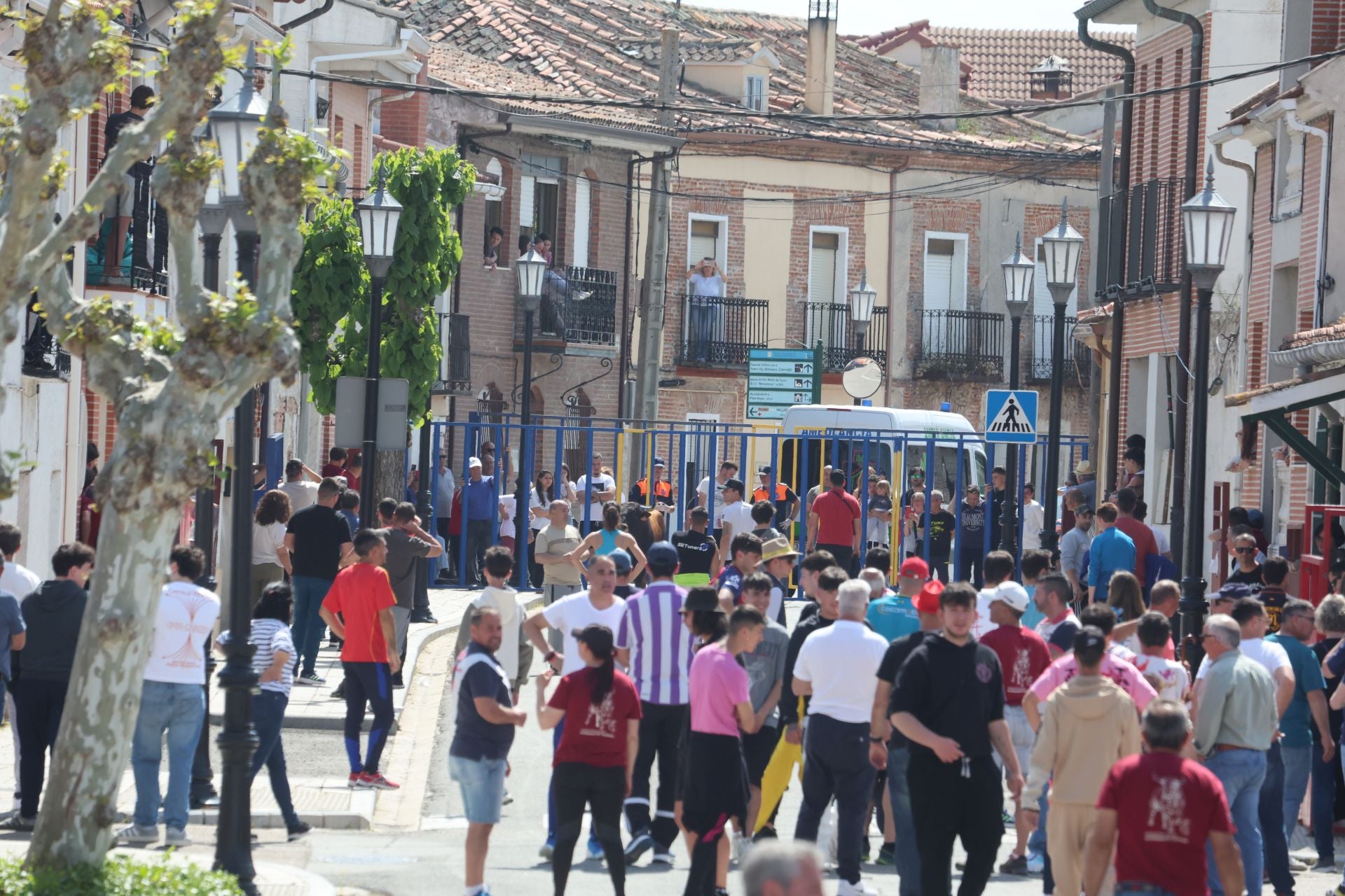 Encierro matutino del domingo en Aldeamayor de San Martín