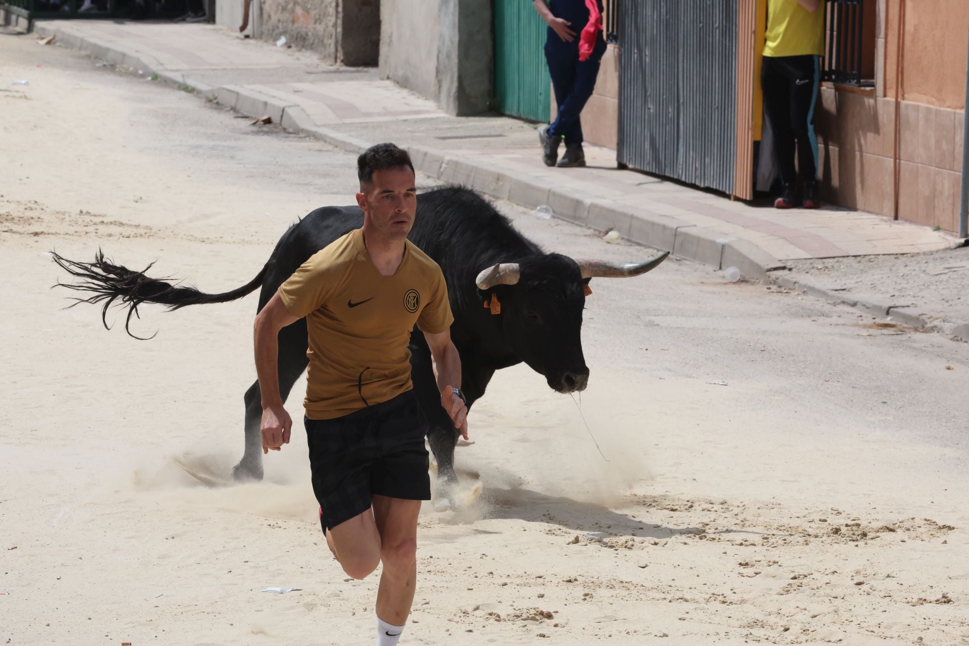 Encierro del domingo por la mañana en Valdestillas