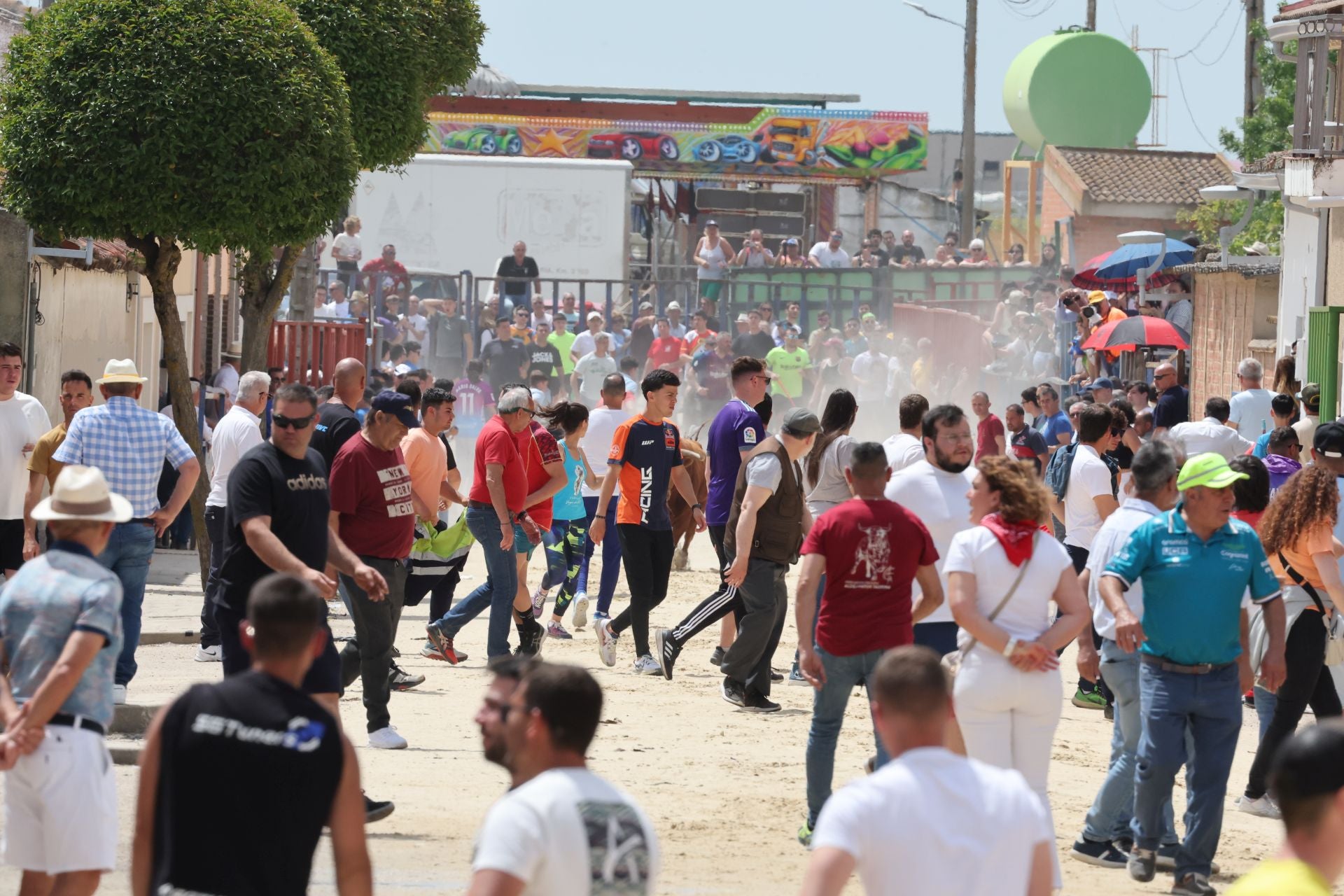Encierro del domingo por la mañana en Valdestillas