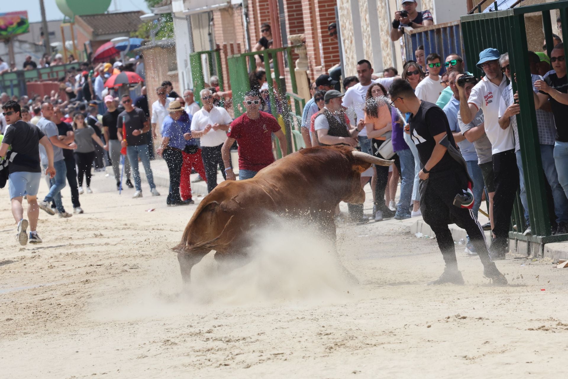 Encierro del domingo por la mañana en Valdestillas
