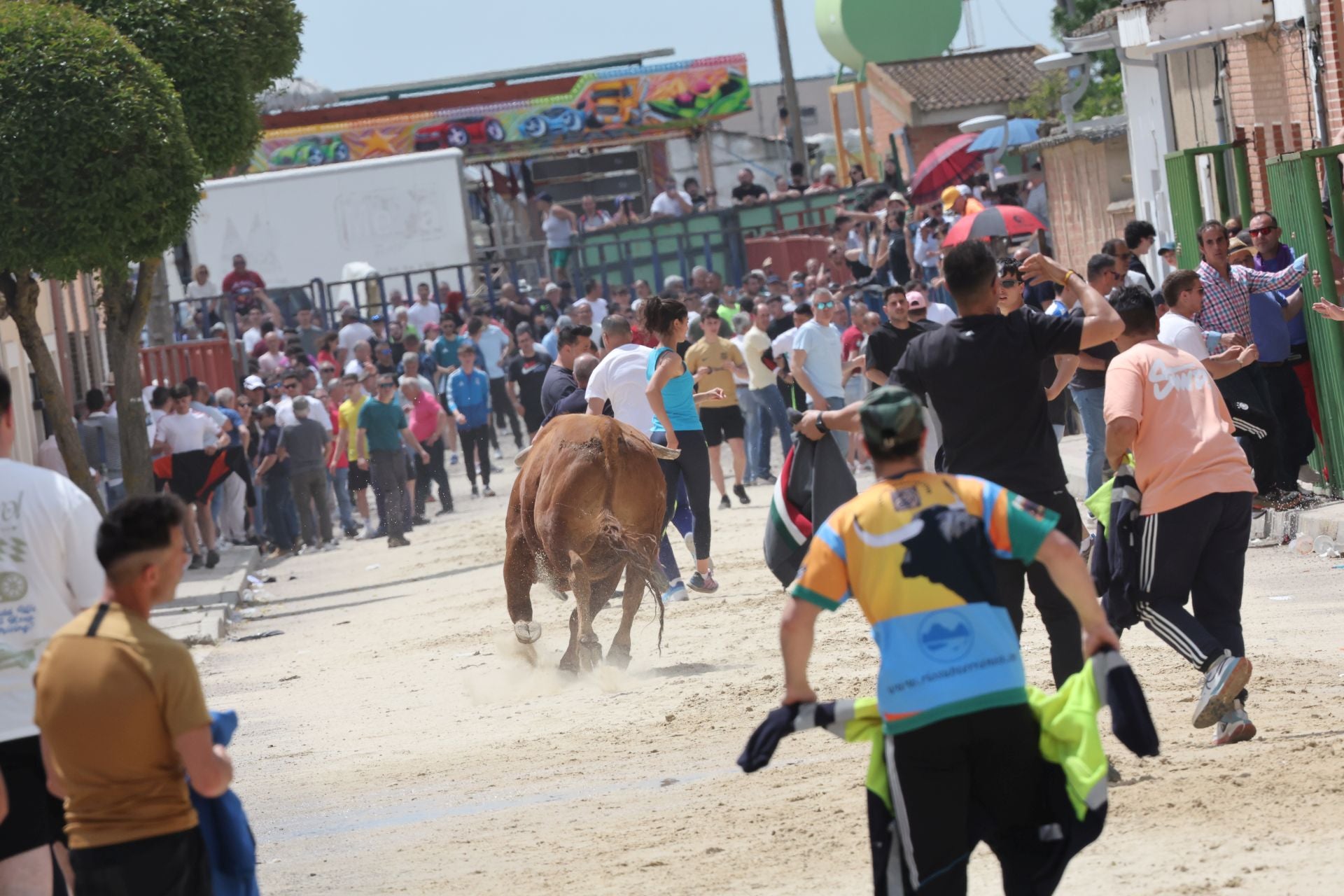 Encierro del domingo por la mañana en Valdestillas