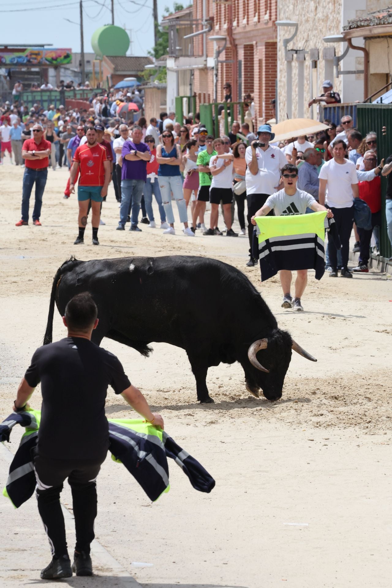 Encierro del domingo por la mañana en Valdestillas