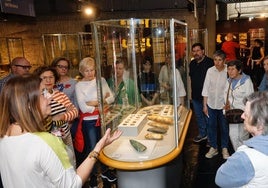 Palencia celebra el Día de los Museos