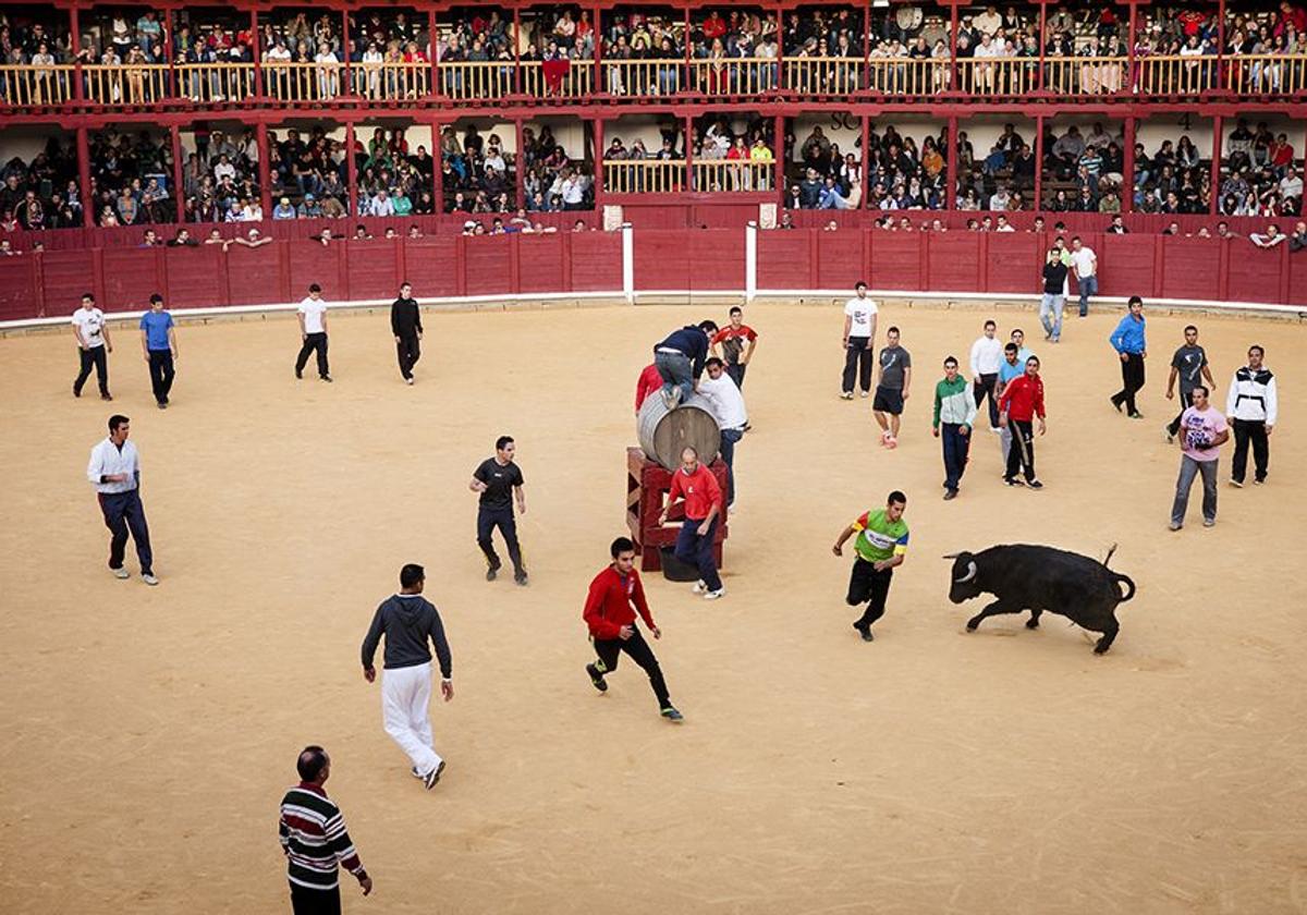 Llegan a un acuerdo para garantizar la celebración de todos los espectáculos taurinos en Zamora