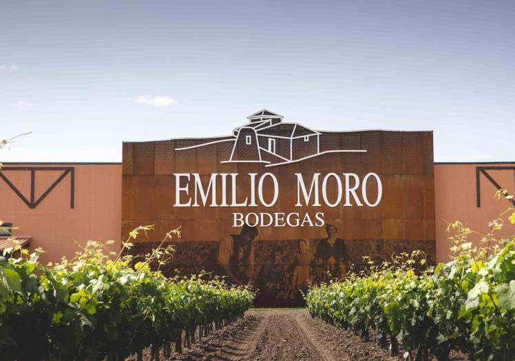 Bodegas Emilio Moro, en la Ribera del Duero.