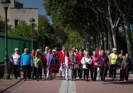 José A. Espeso, Amparo Lorenzo, Sonsoles González y Helga Hernández, profesionales del centro de salud Rondilla, junot a varios de los participantes en la caminata, como Feliz García, Abel Rodríguez, Isabel Hernández, Candi Domínguez, Isabel García, Faustina Famelgo, María Luisa Rodríguez, María Ángeles Andrés, María Soledad Plaza, Osoria de Castro, Raquel Poncela, Encarna González, Margarita González, Isabel Herrera, María Victoria Valea, Josefa Renedo, Carmen González, Ana Calleja y Leonor García.