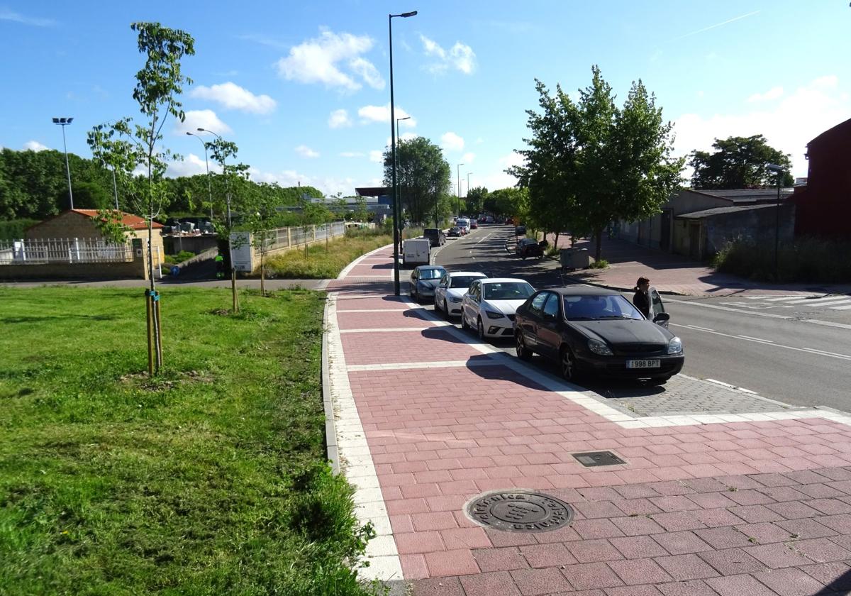 Paseos al sol por Barrio España: 776 metros de aceras desnudas por la pérdida del arbolado