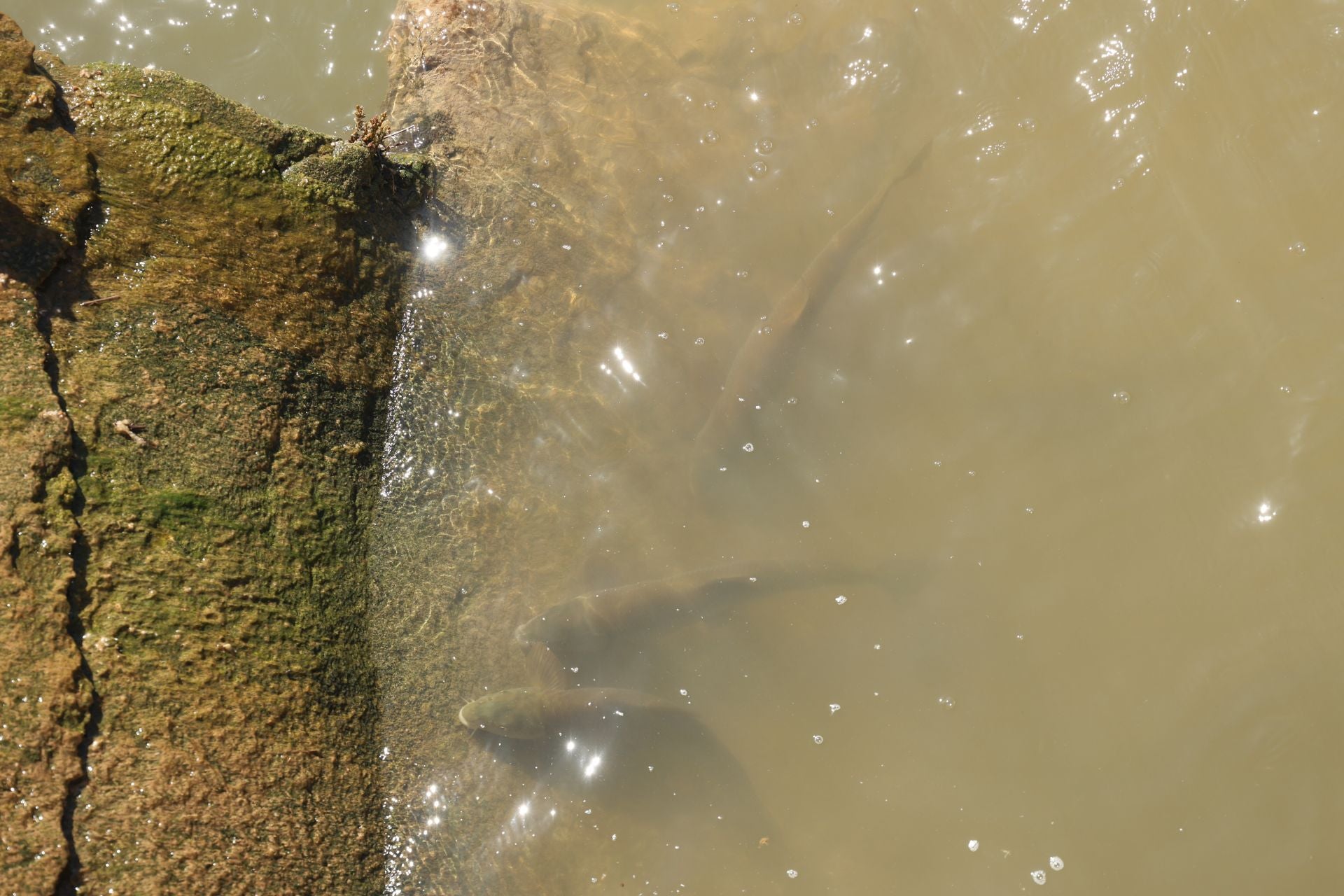 Imágenes de la búsqueda del pescador vallisoletano