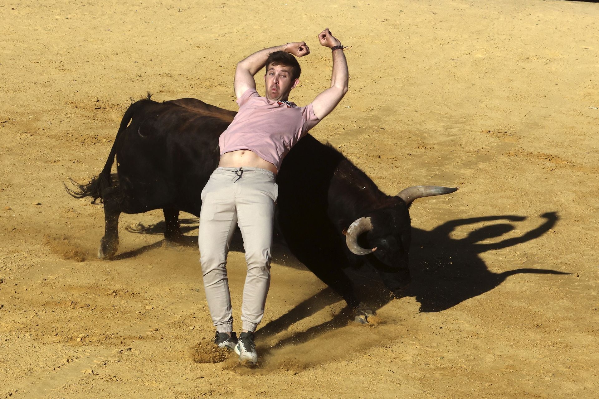 La suelta de toros de Nava del Rey, en imágenes