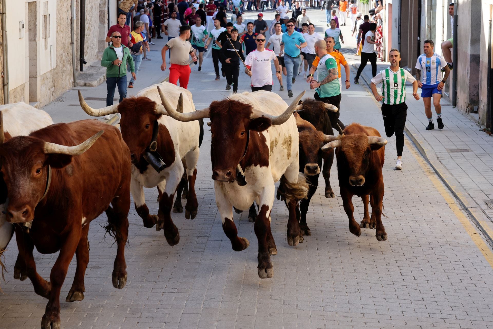 Las imágenes del encierro y capea de este domingo en Peñafiel