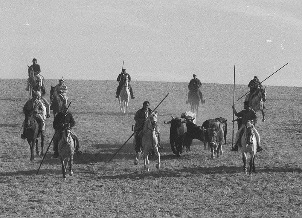 Tradicional encierro campo a través en Arrabal de Portillo. 1 de septiembre de 1998.