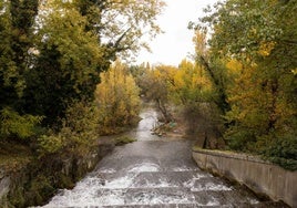 Desembocadura del Esgueva en el Pisuerga, uno de los enclaves del reto.