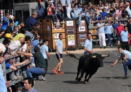 Suelta de un toro desde el cajón en Medina del Campo en una edición pasada del Toro de la Feria.