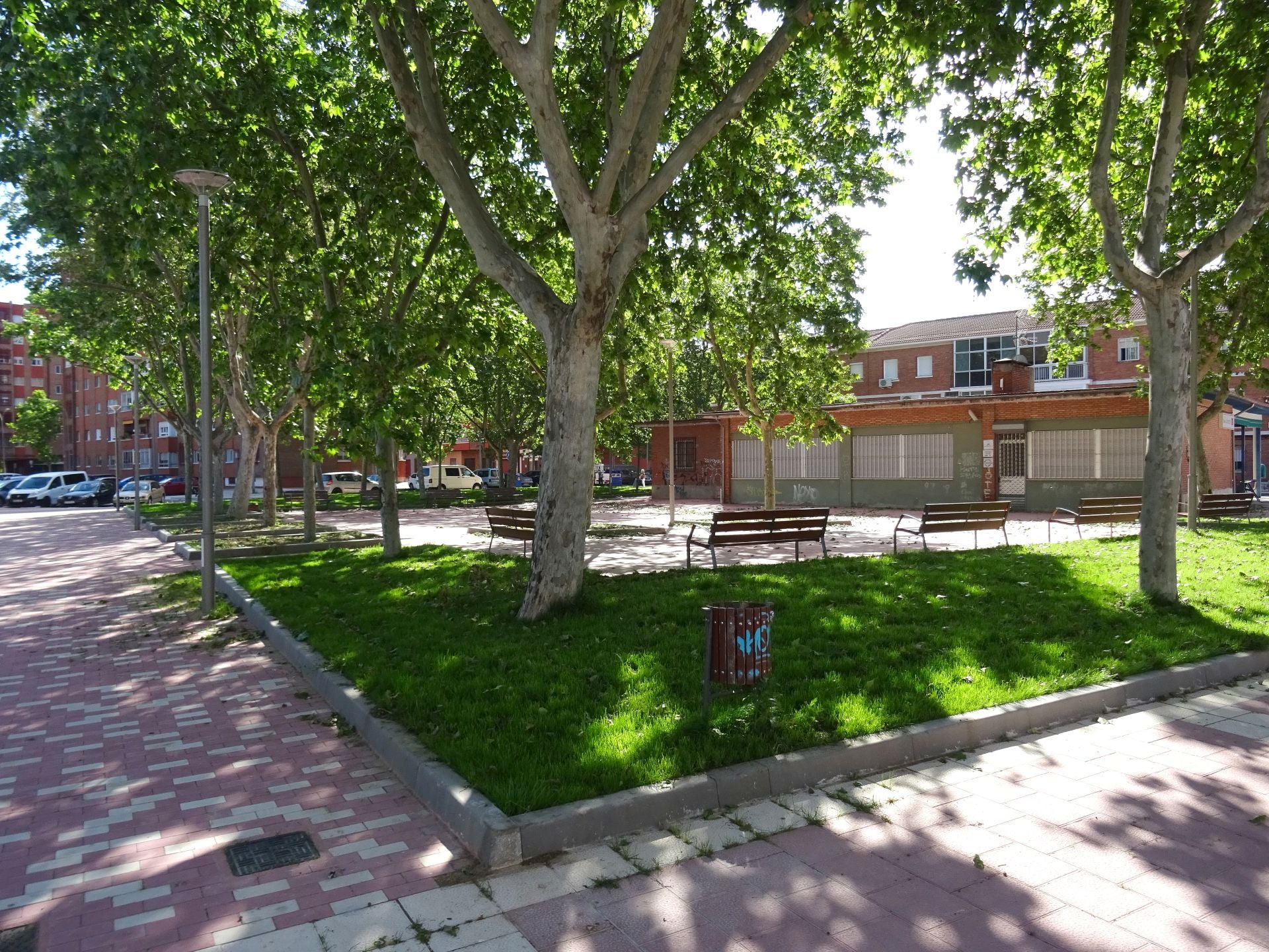 Arbolado y césped en los parterres habilitados durante la reciente remodelación de la plaza del Marqués de Suances.