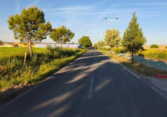 Camino del Tamarizo de Aldeamayor de San Martín.