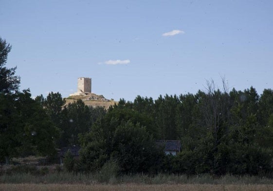 Un paraje de Langa de Duero.