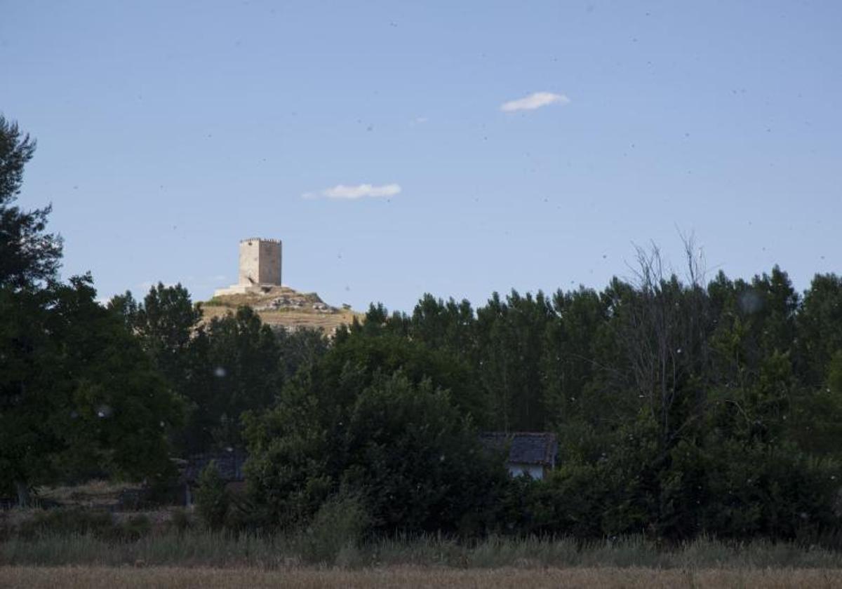 Un paraje de Langa de Duero.