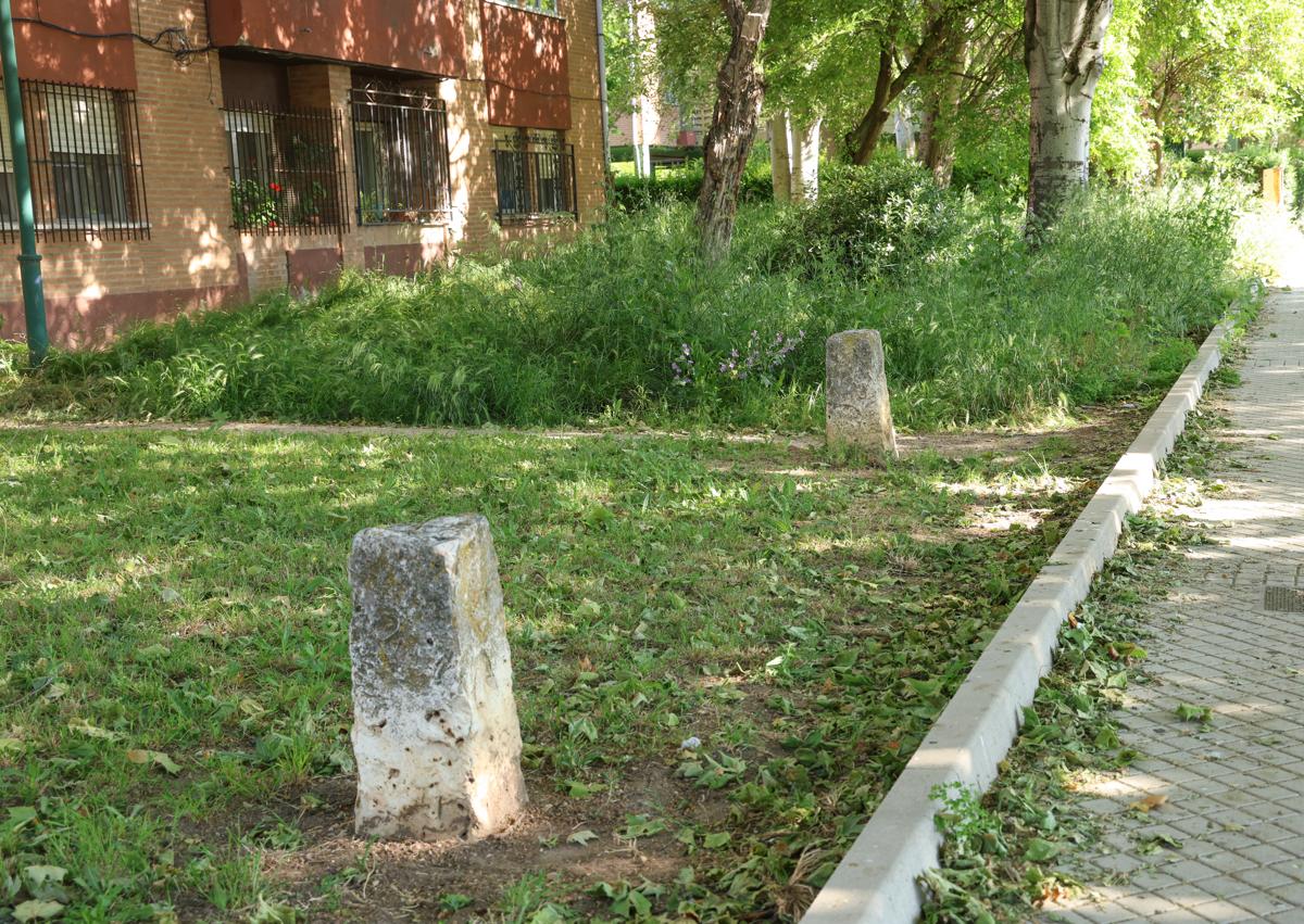 Imagen secundaria 1 - Estado de algunas parcelas de Arturo Eyries. En detalle, zona desbrozada por el Ayuntamiento del circuito de BMX.