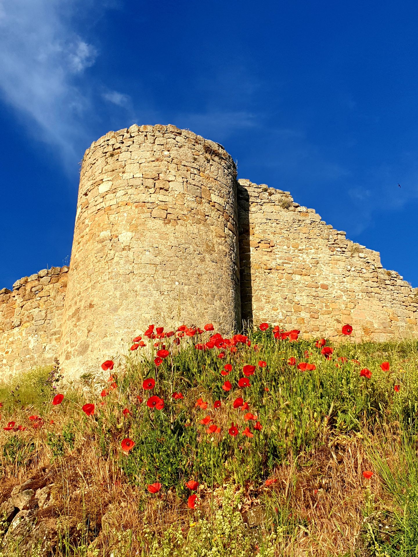 Uno de los pueblos más bonitos de España está en Palencia
