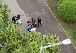 Detalle de la trifulca, con la intervención de la Policía Nacional y Local en plena calzada de la avenida de Manuel Rivera.