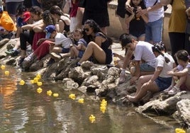 Un público muy numeroso, con los niños como protagonistas, ha seguido con interés la XVIICarrera de Patitos por la Esgueva organizada dentro de la Semana Cultural de Pajarillos.