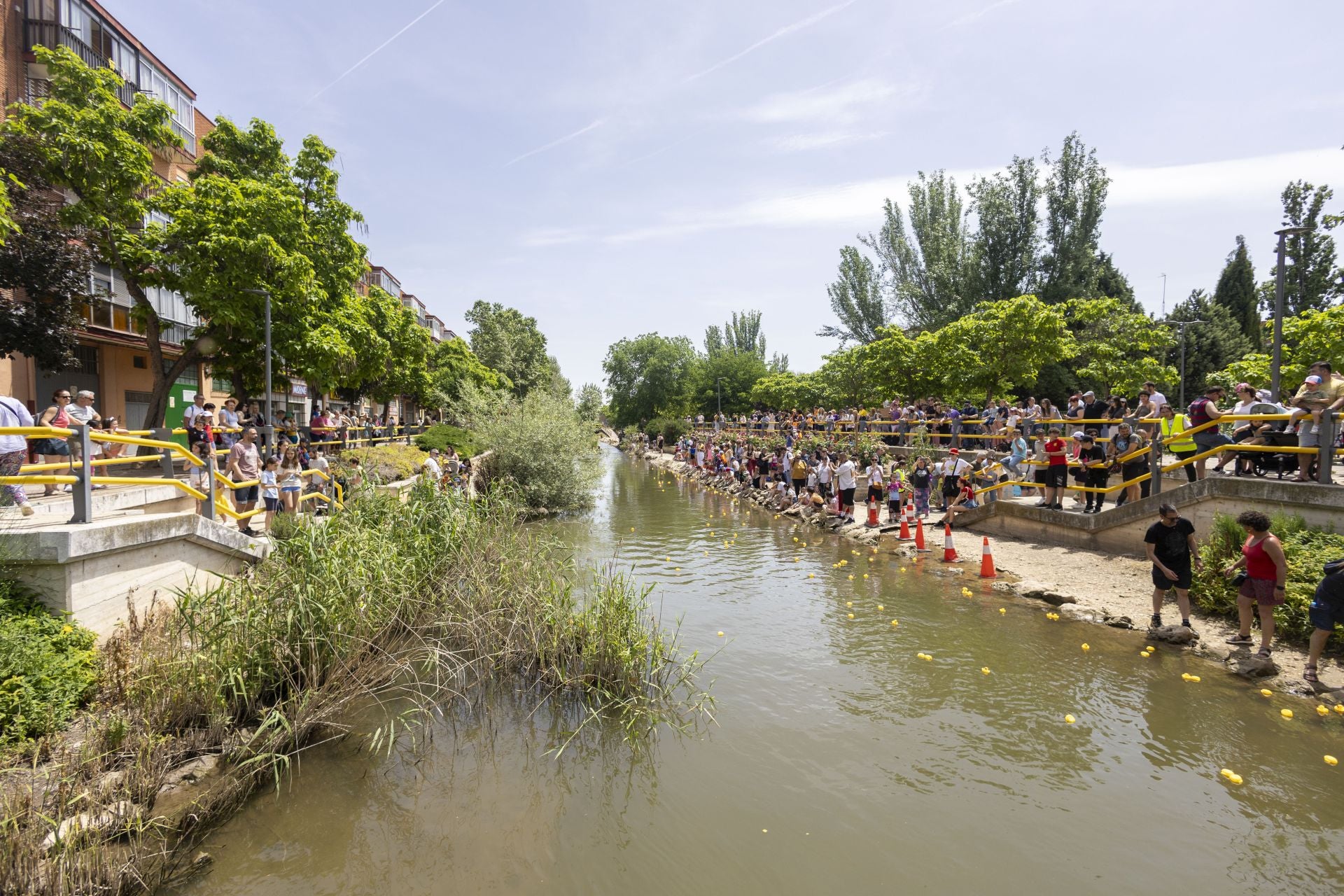 Carrera de patitos de goma solidaria en el Esgueva