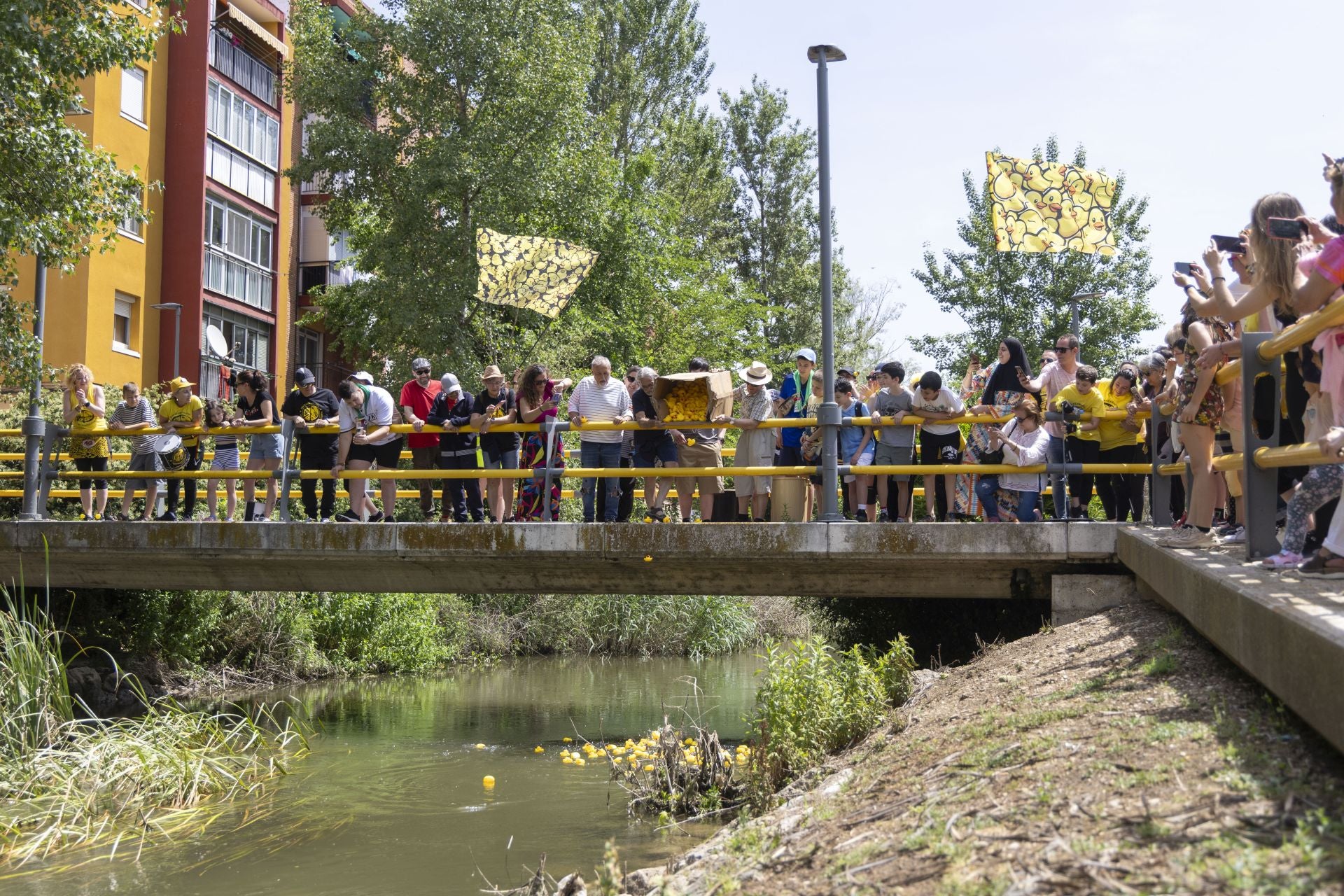 Carrera de patitos de goma solidaria en el Esgueva