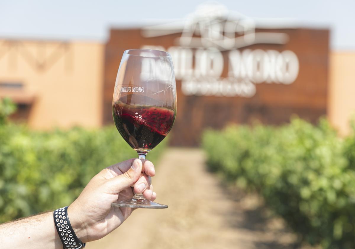 Bodegas Emilio Moro, en imagen de archivo.