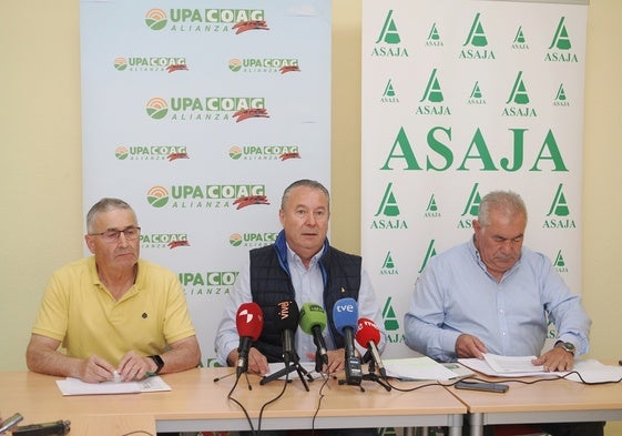 De izquierda a derecha, Lorenzo Rivera (Coag), Donacionado Dujo (Asaja) y Aurelio González (UPA).