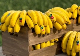 Cajas de Plátano de Canarias