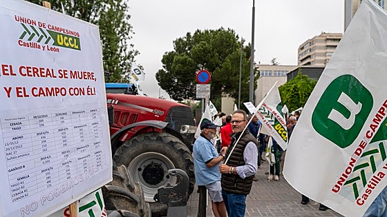 UCCL pide aranceles a importaciones ucranianas o ayudas directas al cereal