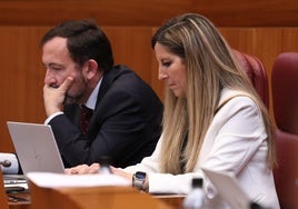 Javier Teira y Ana Rosa Hernando, en sus escaños de las Cortes de Castilla y León, donde figuran como no adscritos.
