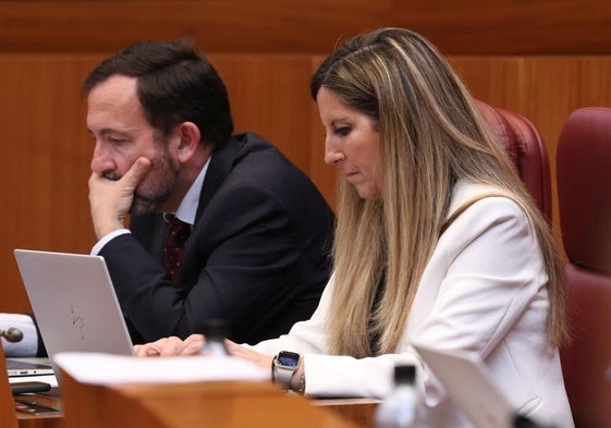 Javier Teira y Ana Rosa Hernando, en sus escaños de las Cortes de Castilla y León, donde figuran como no adscritos.