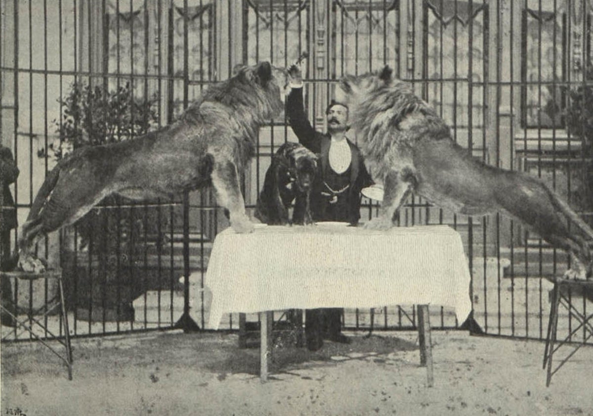 Imagen principal - Arriba, el domador dando de comer a sus leones 'Conde' y 'Fortuny' en 1900. Abajo, una actuación en 1896 y Malleu en 1930, poco antes de fallecer en Valladolid. 