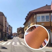 La joven fue agredida por una residente en la calle Ramón y Cajal de La Robla.