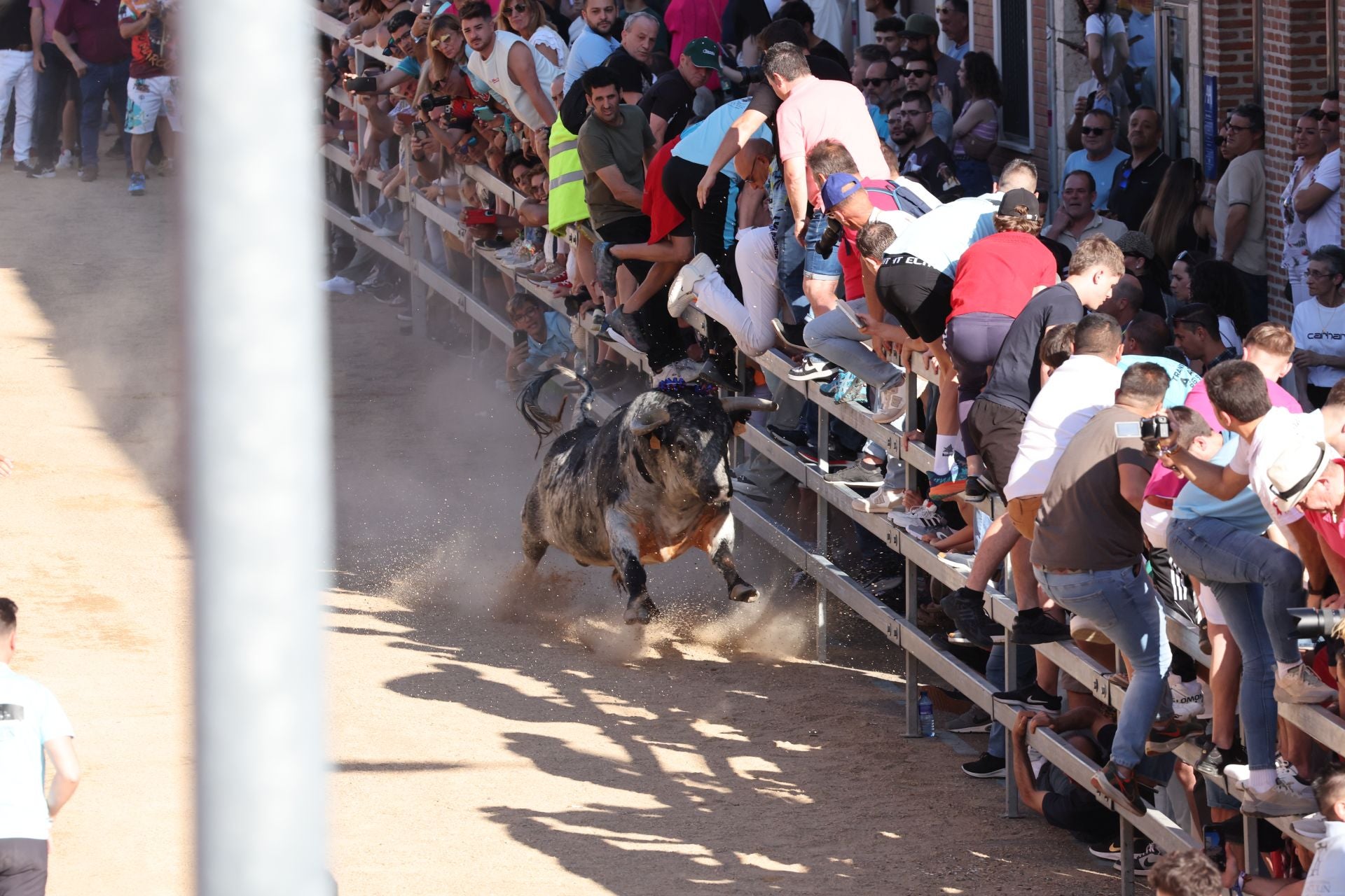 Las imágenes de la fiesta taurina en Medina del Campo