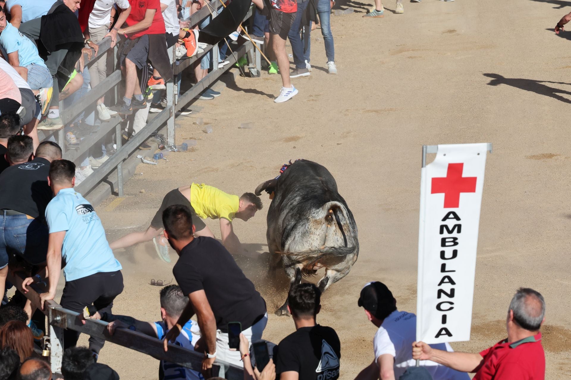 Las imágenes de la fiesta taurina en Medina del Campo