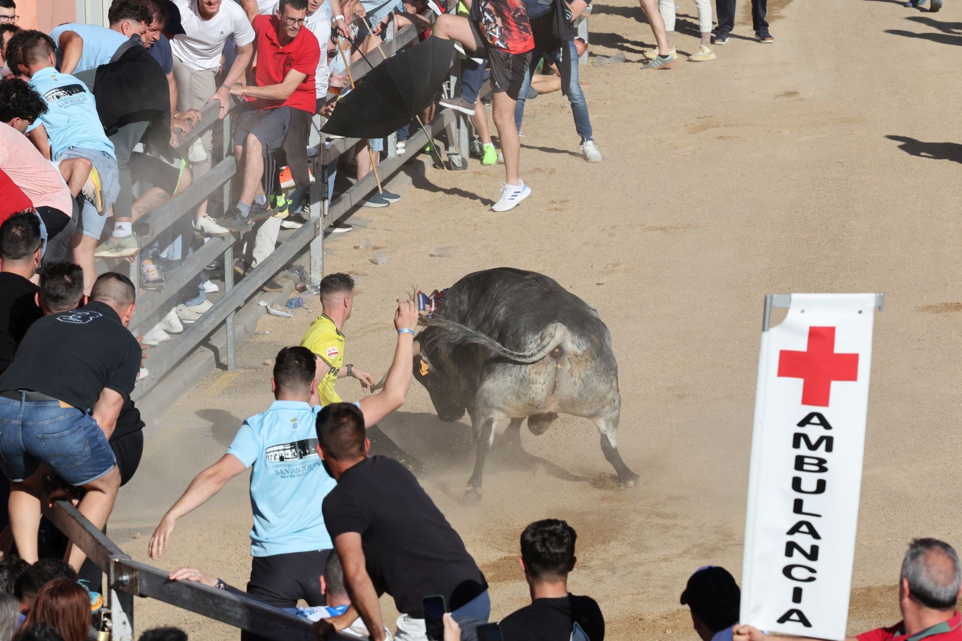 Las imágenes de la fiesta taurina en Medina del Campo