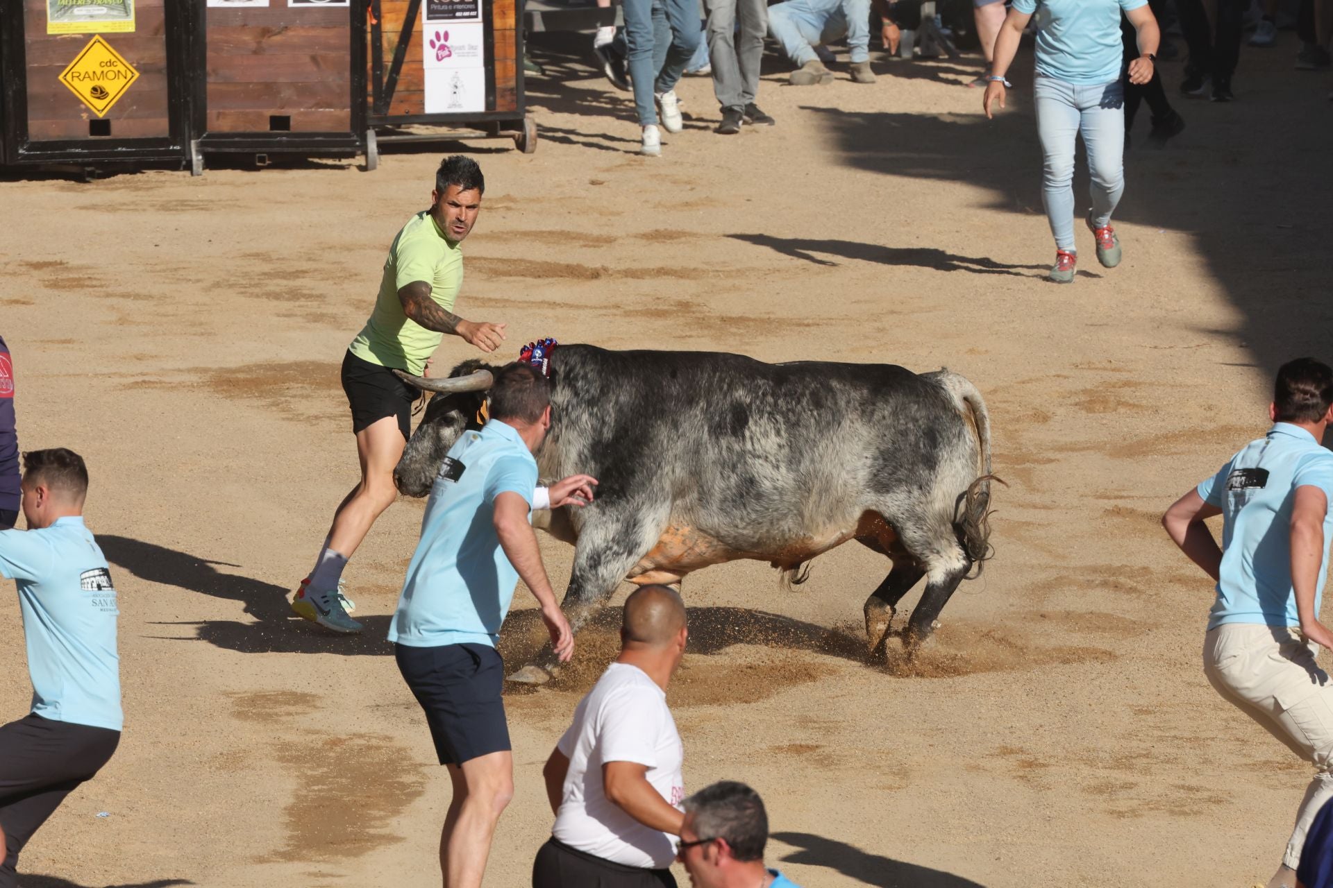 Las imágenes de la fiesta taurina en Medina del Campo