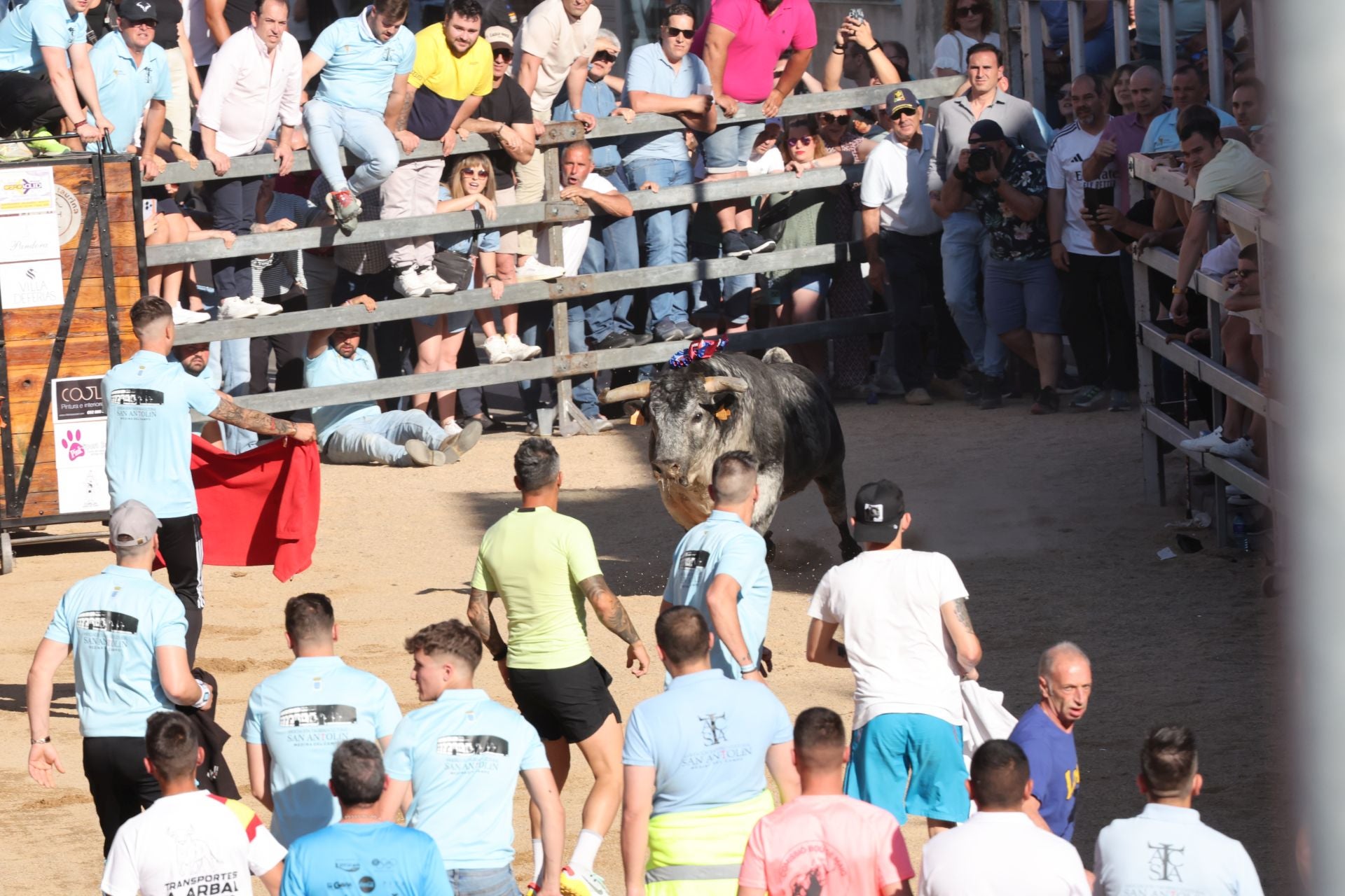 Las imágenes de la fiesta taurina en Medina del Campo