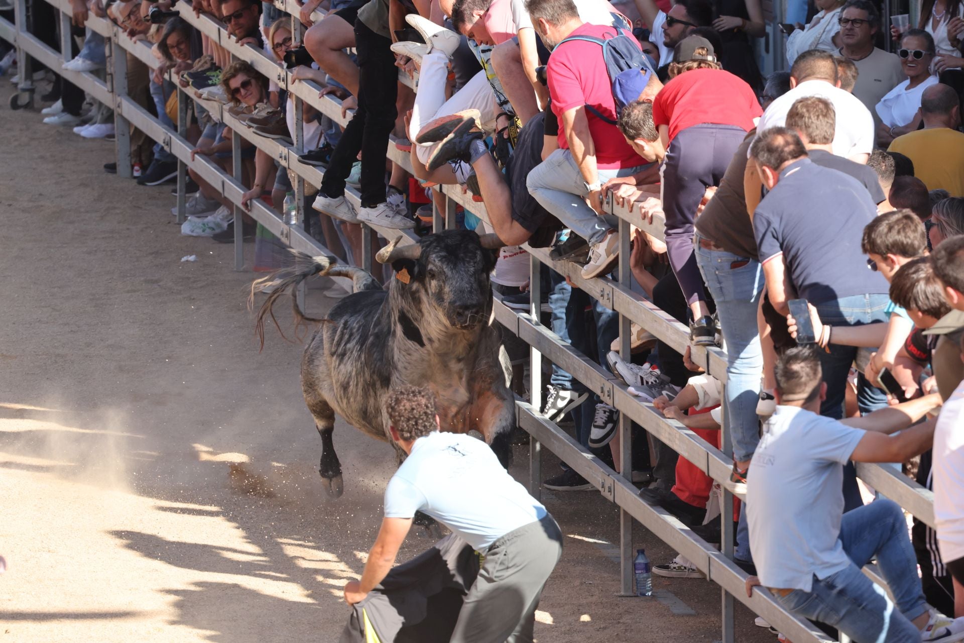 Las imágenes de la fiesta taurina en Medina del Campo