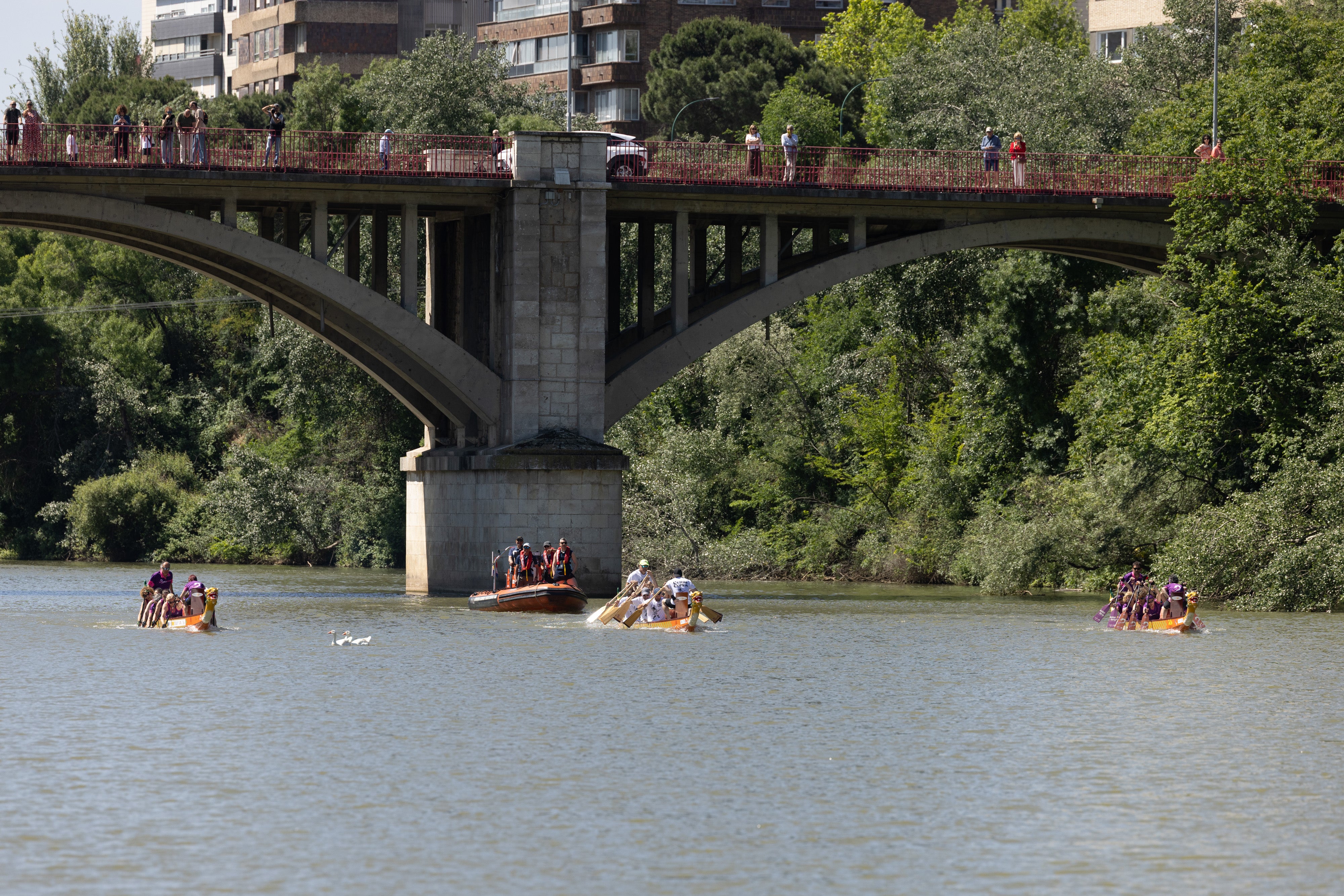 Celtas Cortos se unen a las Vallkirias en el Pisuerga