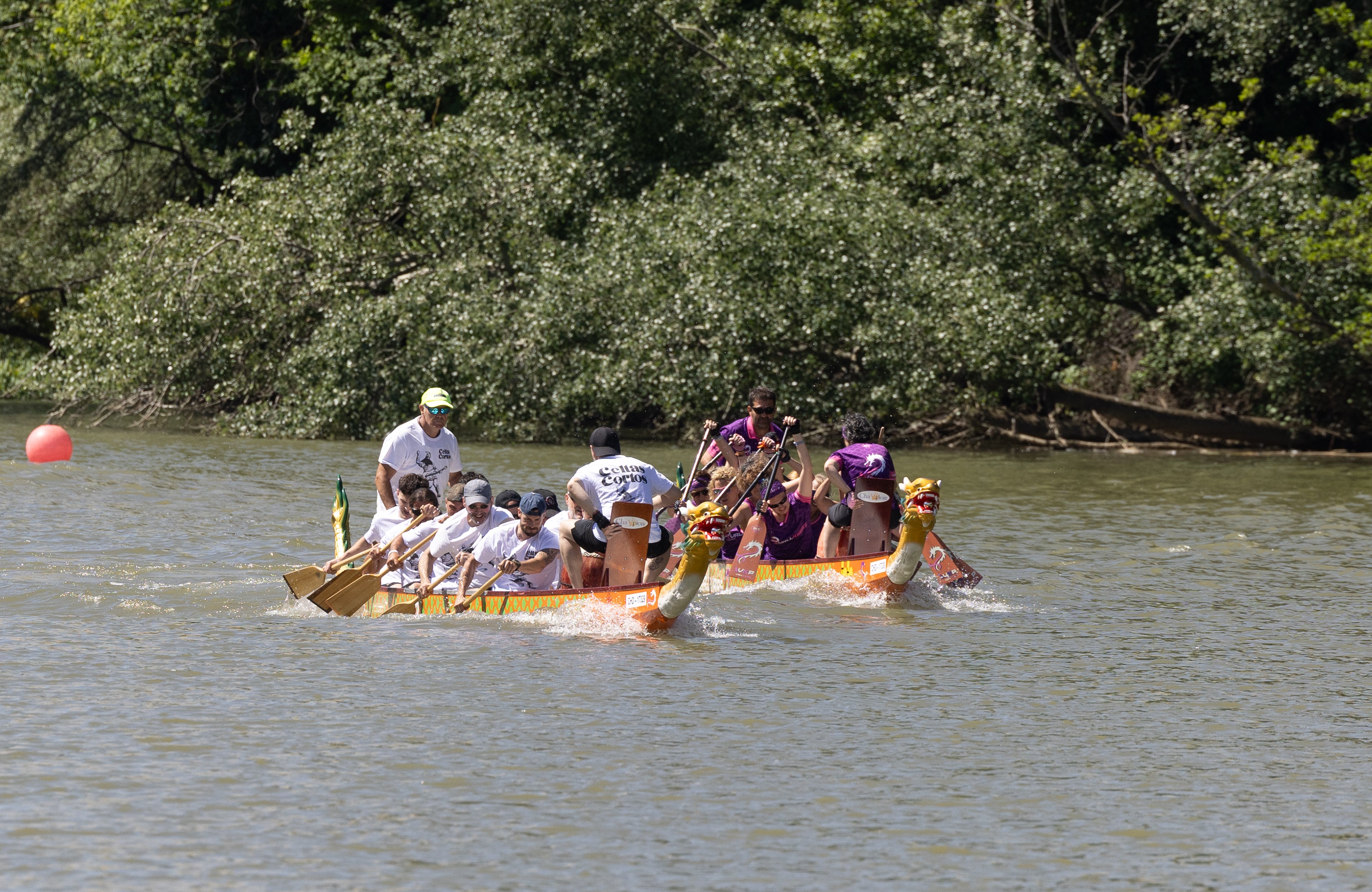 Celtas Cortos se unen a las Vallkirias en el Pisuerga