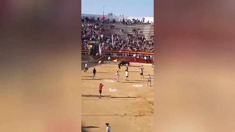 Un joven recibe una cornada de 20 centímetros en la plaza de toros de Medina del Campo