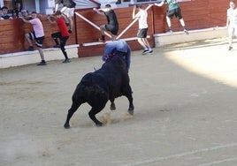 Las imágenes de la cogida en la 15ª edición del Toro de la Feria en Medina del Campo